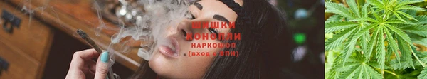 мяу мяу мука Армянск