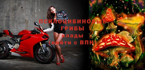 а пвп мука Арсеньев