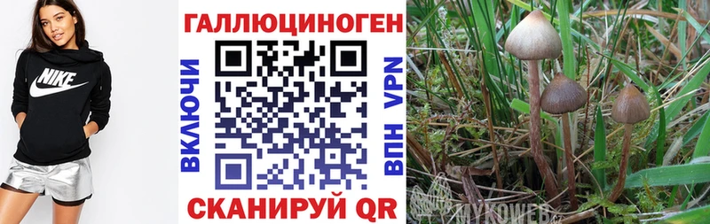 Псилоцибиновые грибы мухоморы  Бологое 