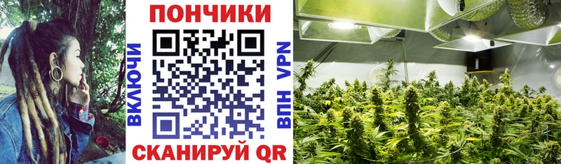 Шишки марихуана план Бологое